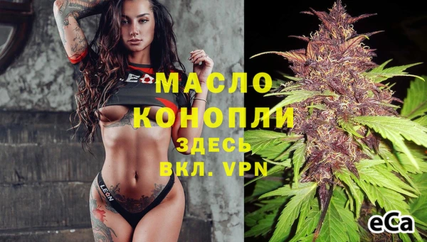 эйфоретик Баксан
